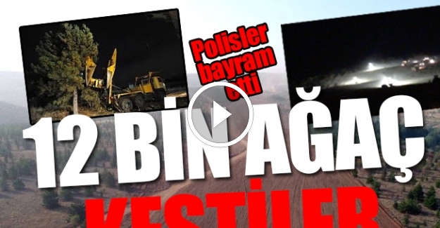 ODTÜ'de orman katledilirken polisler göbek attı!