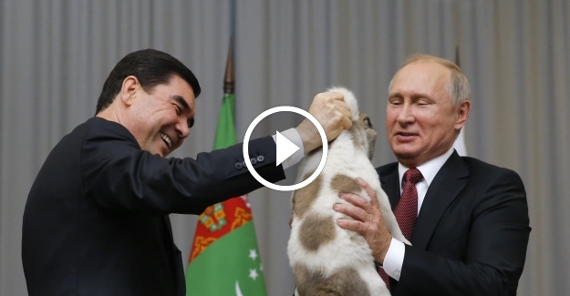 Türkmen lider Putin'e çoban köpeği hediye etti